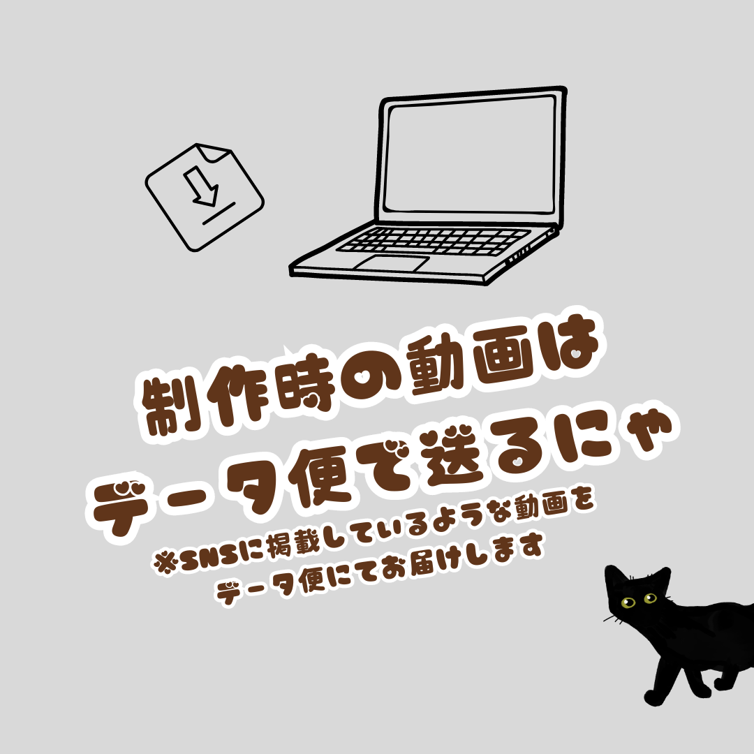一発描きネコチャン オーダー専用 オプション動画