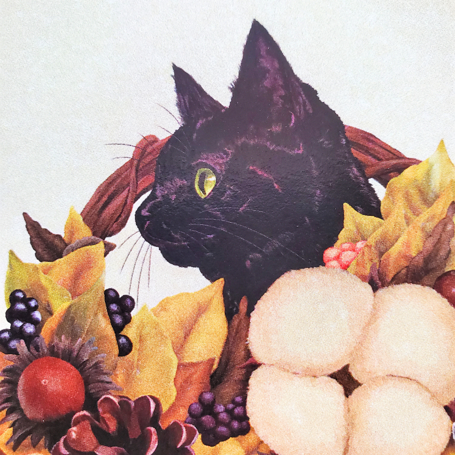 10cmフレームイラスト 実りの秋と黒猫