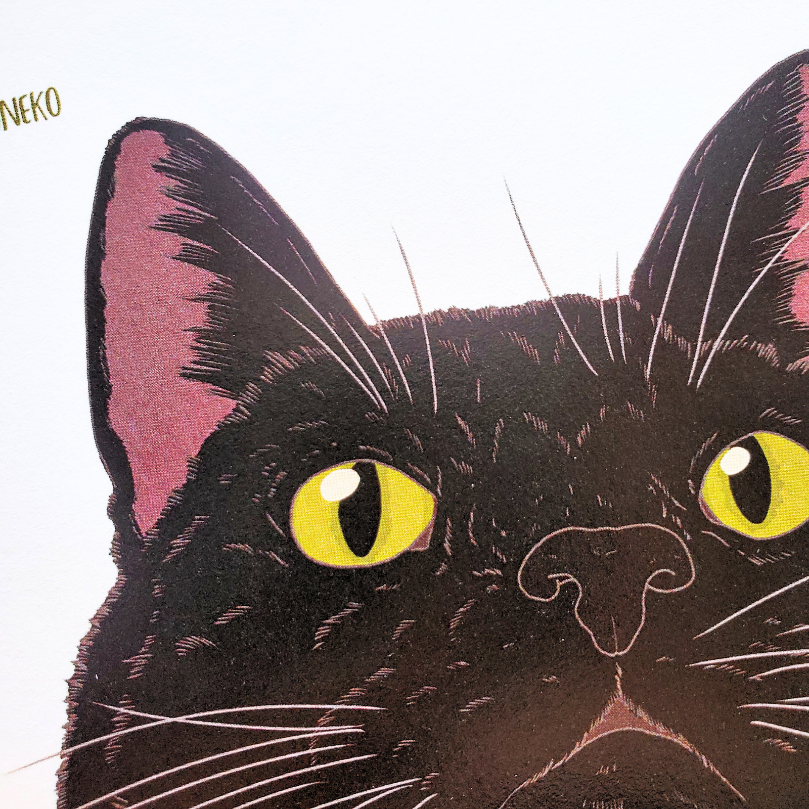 10cmフレームイラスト 黒猫アップ