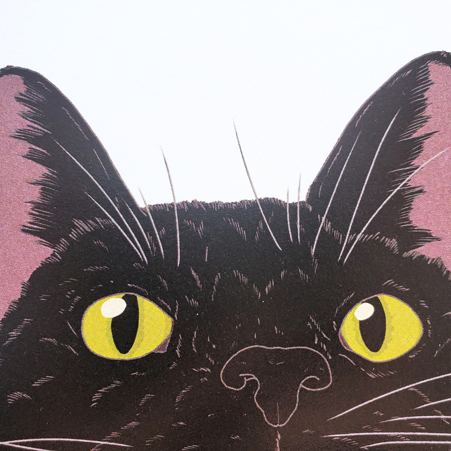 10cmフレームイラスト 黒猫アップ