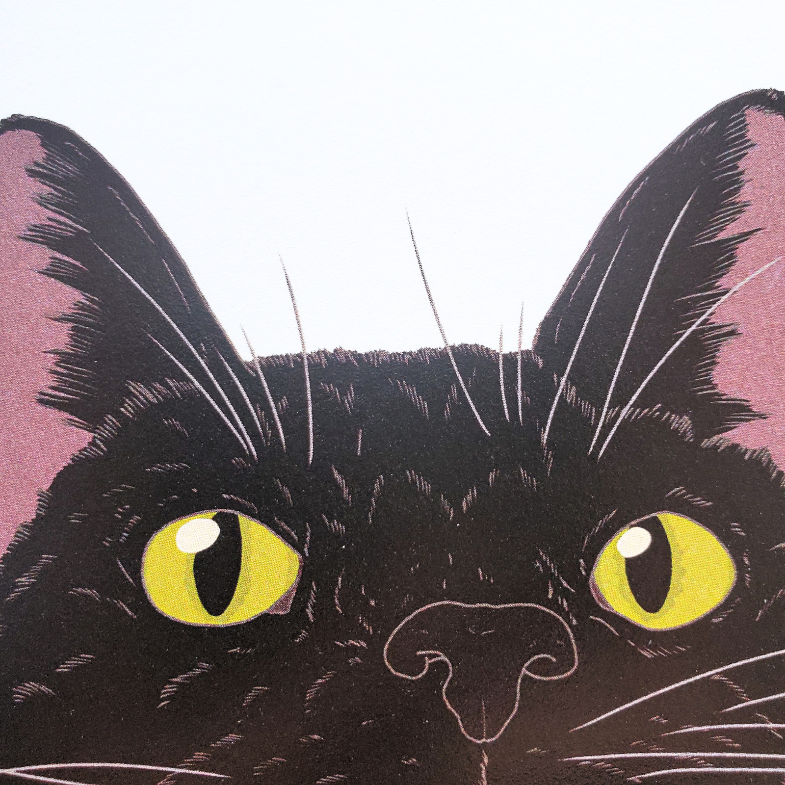 10cmフレームイラスト 黒猫アップ