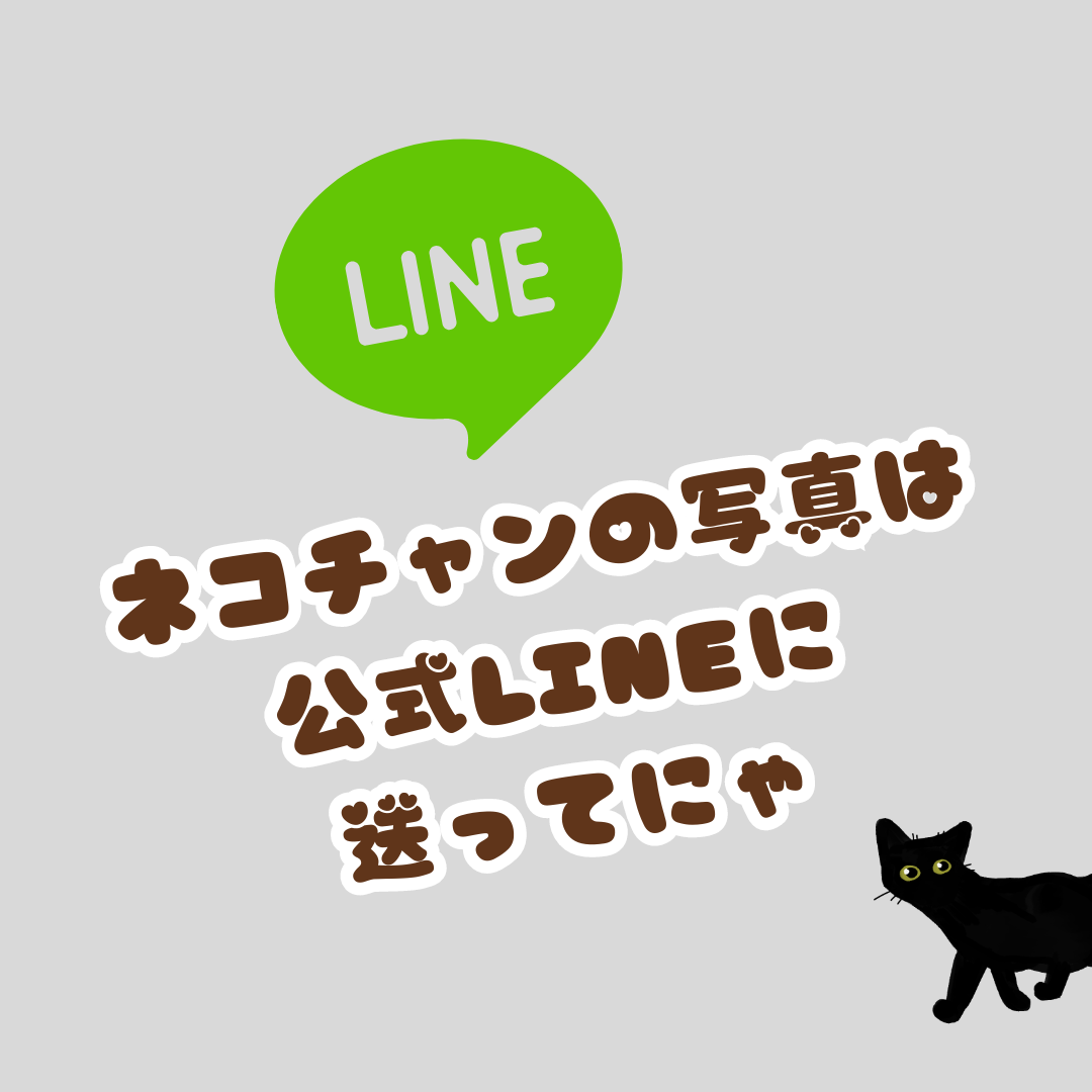 一発描きネコチャン オーダー