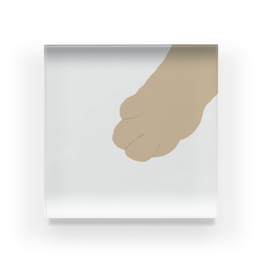 アクリルブロック おじゃまするにゃ@ねこのおてて