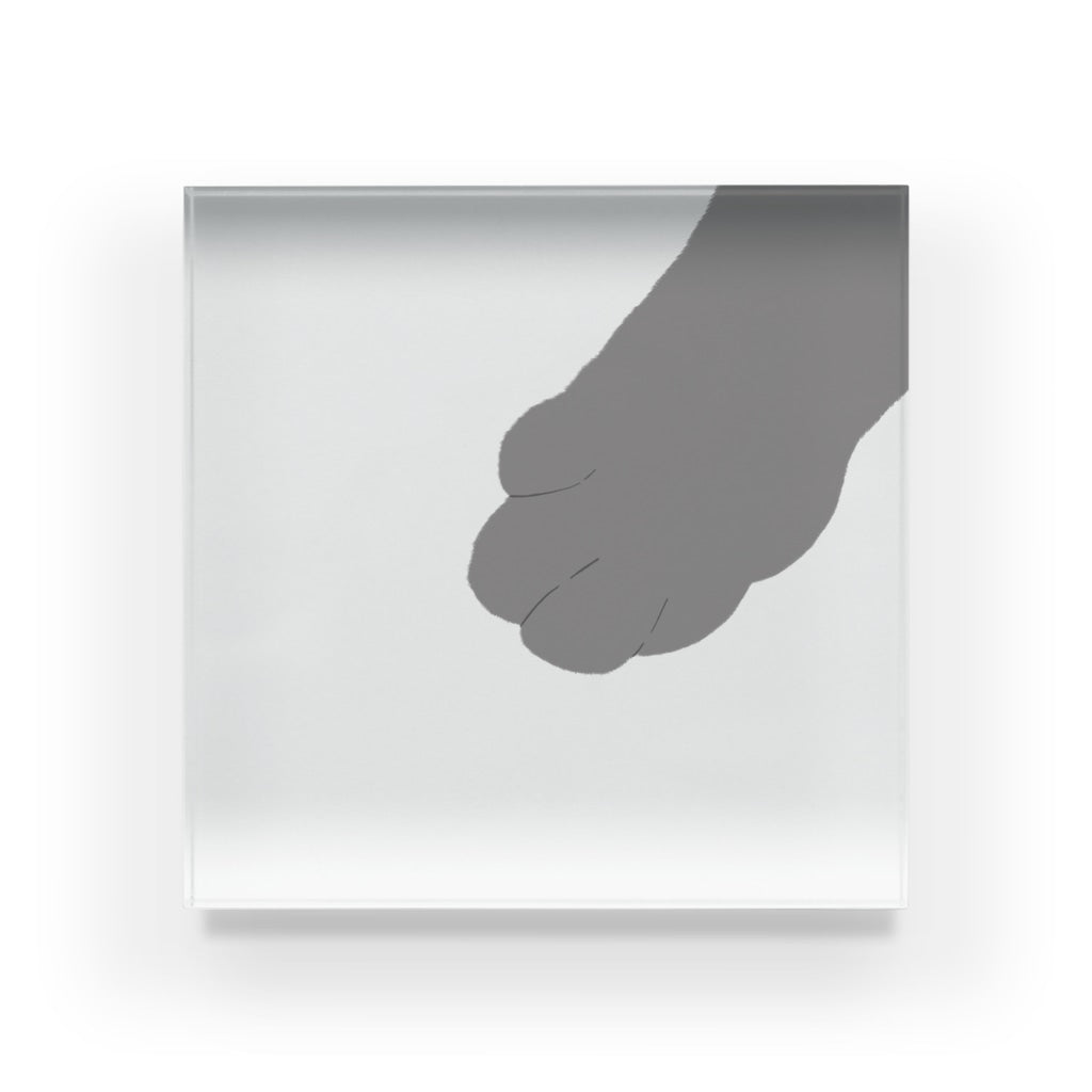 アクリルブロック おじゃまするにゃ@ねこのおてて