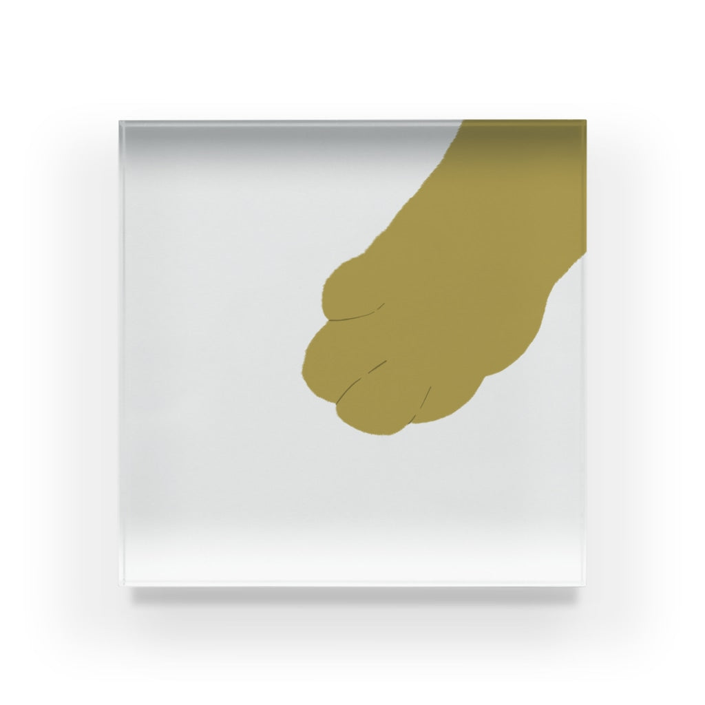 アクリルブロック おじゃまするにゃ@ねこのおてて