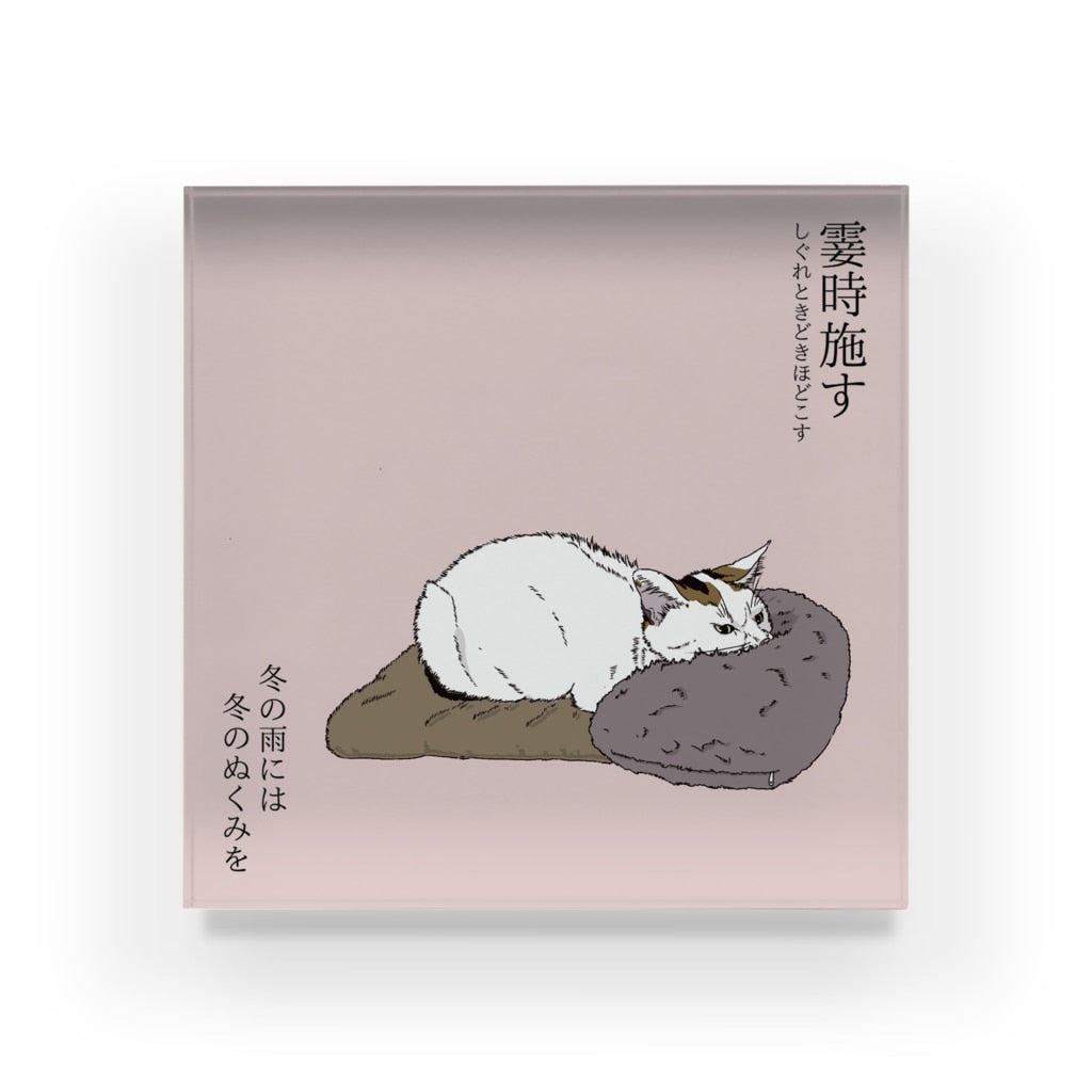アクリルブロック　霎時施す 湯たんぽを枕にする猫