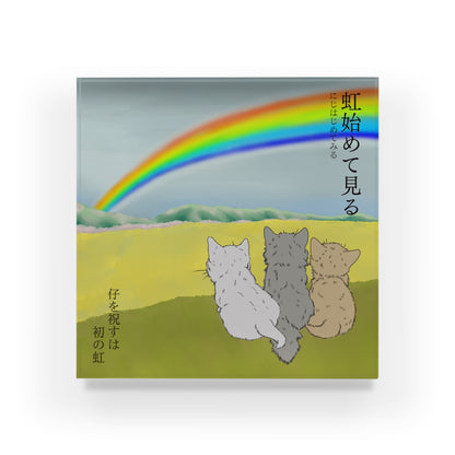 アクリルブロック　虹始めて見る はじめて虹を見た仔猫たち